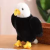 LEAN TOYS Peluche águila pájaro peluche mascota peluche negro y blanco 25cm