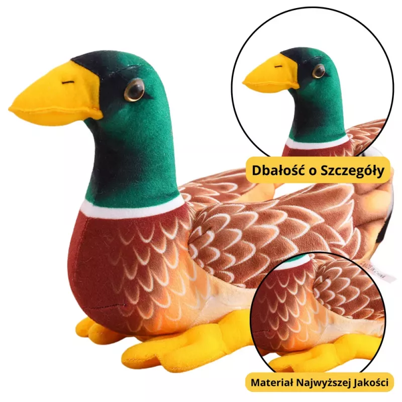 LEAN TOYS Mascota de peluche pato marrón verde 28cm