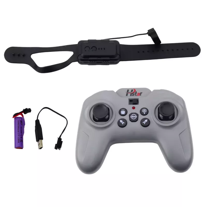 LEAN TOYS Coche deportivo RC radiocontrol con efecto humo 2.4G Negro
