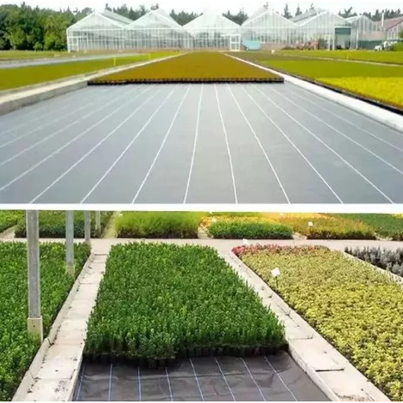 LEAN Agrotextil negro 160 cm x 50 m UV 90 g antimalezas Agrotextil + anclajes