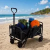 LEAN Carro de transporte plegable para jardín y playa negro 120L