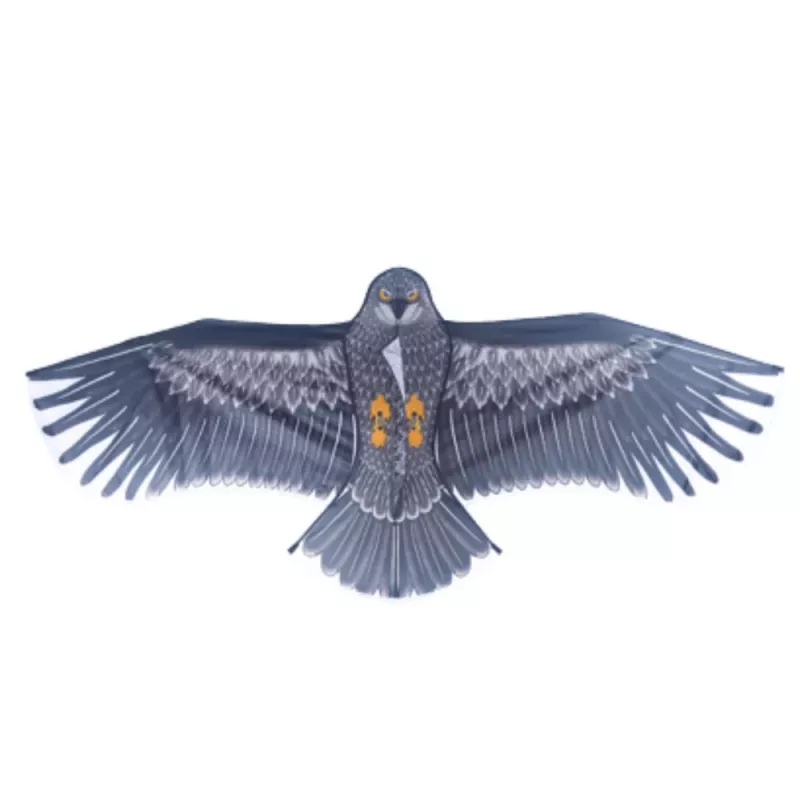 LEAN TOYS cometa con forma de águila con mango de cuerda 150 x 70 cm