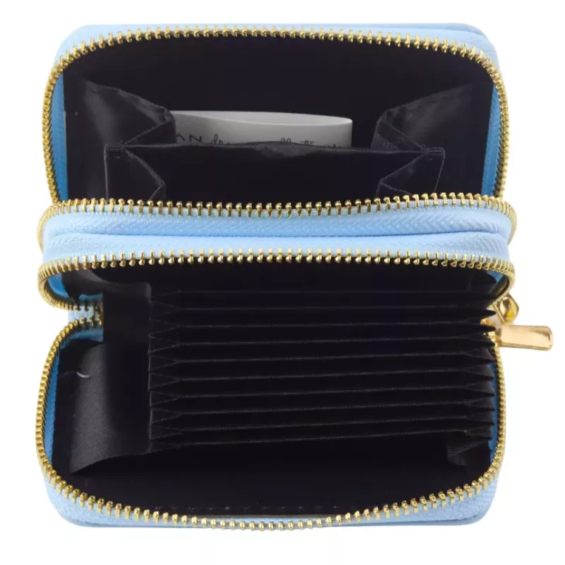 LEAN Monedero de dos compartimentos con ranuras para tarjetas capibara azul 12.5 x 8.5 cm