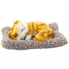 LEAN TOYS Figura de gato jengibre dormido sobre cojín con bolsa de pelo y sonidos