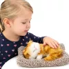 LEAN TOYS Figura de gato jengibre dormido sobre cojín con bolsa de pelo y sonidos
