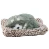 LEAN TOYS Figura de husky durmiendo sobre una almohada con bolsa de peluche y sonidos