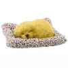 LEAN TOYS Figura de labrador durmiendo sobre almohada con bolsa transparente de peluche y sonidos