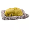 LEAN TOYS Figura de cachorro de labrador durmiendo sobre almohada con peluche y bolsa transparente
