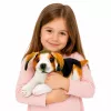 LEAN TOYS Peluche perro beagle, mascota, perro suave, 25 cm