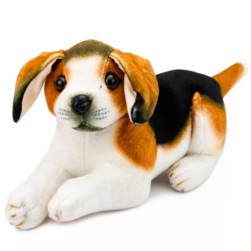 LEAN TOYS Peluche perro beagle, mascota, perro suave, 25 cm
