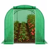 LEAN Túnel de plástico para jardín, invernadero para hortalizas PRO, estructura 25 mm, 8 x 3 x 2 m, 24 m²