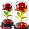 LEAN Rosa eterna en cúpula de cristal con iluminación LED, roja, 21,5 x 11 cm