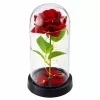 LEAN Rosa eterna en cúpula de cristal con iluminación LED, roja, 21,5 x 11 cm