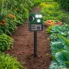 LEAN Repelente solar de animales con sensor de movimiento, ultrasonidos y diodos LED