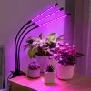 LEAN Lámpara LED para cultivar e iluminar plantas, triple módulo, con pinza
