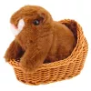 LEAN TOYS ardilla de peluche interactiva en cesta, camina y hace sonidos, marrón