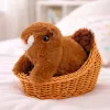 LEAN TOYS ardilla de peluche interactiva en cesta, camina y hace sonidos, marrón