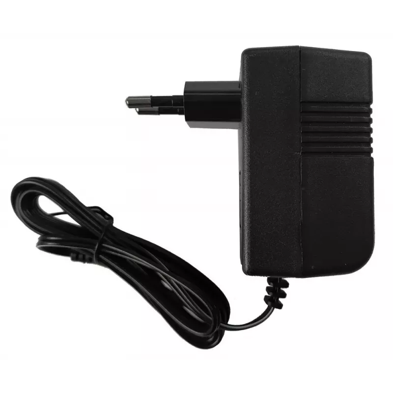 LEAN CARS Cargador de batería para coche eléctrico infantil 6V