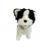 LEAN TOYS Perro con correa Husky interactivo