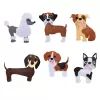 LEAN TOYS Set creativo de peluches para coser de fieltro perros de peluche DIY 6 uds.