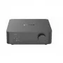 WiiM Vibelink Amp Amplificador Hi-Fi gris