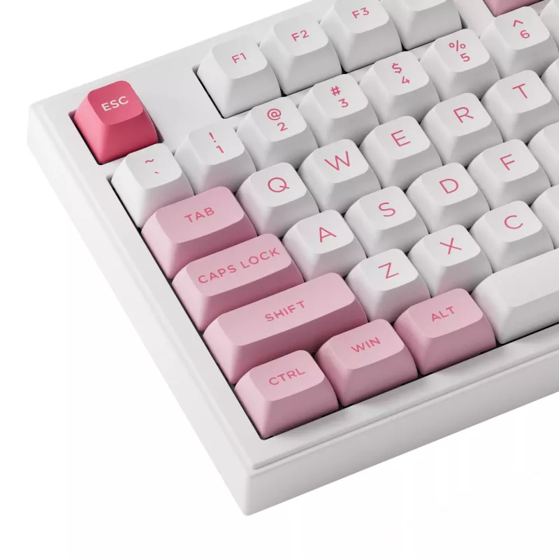 AKKO 5098B Prunus Lannesiana teclado mecánico, 98 teclas, triple modo, hot-swappable, RGB, teclas PBT ASA