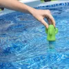Bestway 58763 Termómetro de piscina para spas, verde cactus