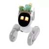 Disfraz de cactus de punto para robot Loona Premium