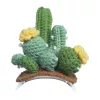Disfraz de cactus de punto para robot Loona Premium