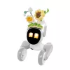 Conjunto de punto para Loona Premium Sunflower