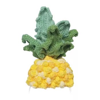 Disfraz de punto para Loona Premium Pineapple