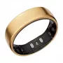 RingConn Gen2 Smart Ring – Oro rosa – Talla 9 – Seguimiento del sueño y la salud – SpO2/frecuencia cardíaca/estrés – 10-12 días de autonomía – Negro/Oro (RCA-01-RG-9)