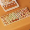 AKKO TAC87 Bun Wonder Teclado Mecánico Tenkeyless - Multi-Modo RGB Hot-Swappable