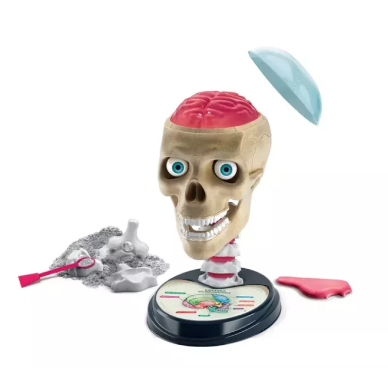 Clementoni Naukowa Zabawa Kit Crazy Anatomy - Idioma Polaco - 50697