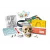 Clementoni Naukowa Zabawa Kit Crazy Anatomy - Idioma Polaco - 50697