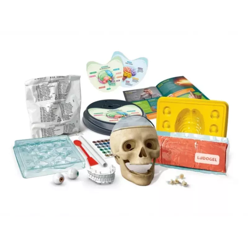 Clementoni Naukowa Zabawa Kit Crazy Anatomy - Idioma Polaco - 50697