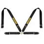 SABELT SIM RACING Sim Seatbelts Kit, cinturón de 4 puntos, con kit de montaje, compatible con serie P, S y X - negro