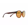 Gafas de Sol Red Bull Spect Ever Polarized - Havanna/Brown/Bronze