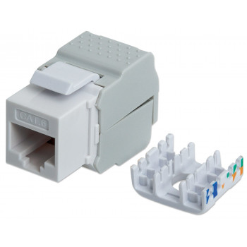 Intellinet 167062 Cat6 UTP Keystone Jack, sin herramientas, blanco