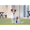 Canon RF-S 55-210mm F5-7.1 IS STM teleobjetivo zoom