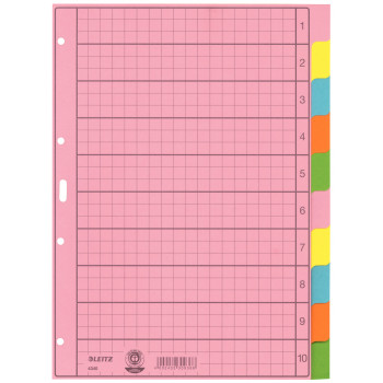 LEITZ hojas de registro en blanco A4 de 10 piezas, multicolor, 130 g/m², perforación reforzada 4340-00-00