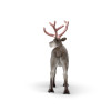 Schleich 75004 Figura LED reno navideño oro rosa