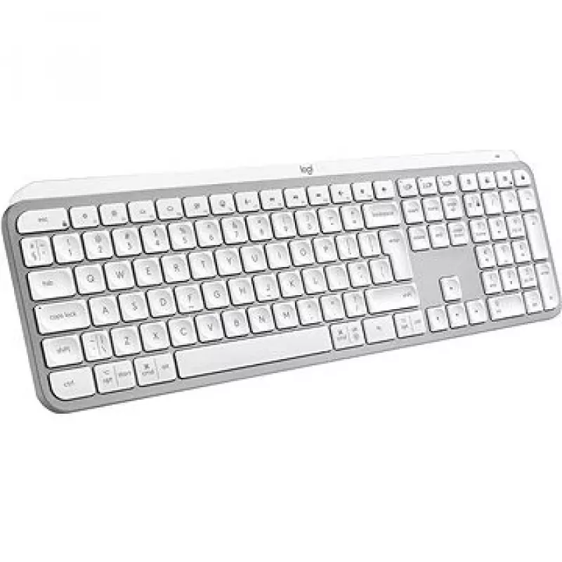 Logitech 920-011638 aluminio, blanco