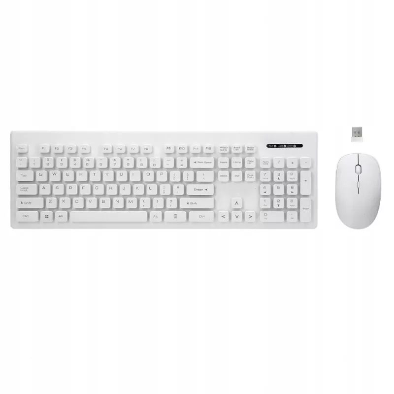 Rebeltec conjunto inalámbrico de teclado y ratón Biae Whiterun