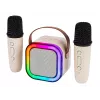 Altavoz de karaoke, Altavoz Bluetooth KARAOKE RGB, 30W