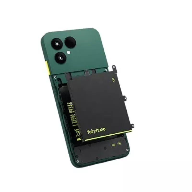 Fairphone The (Gen 6) 16 cm (6,31