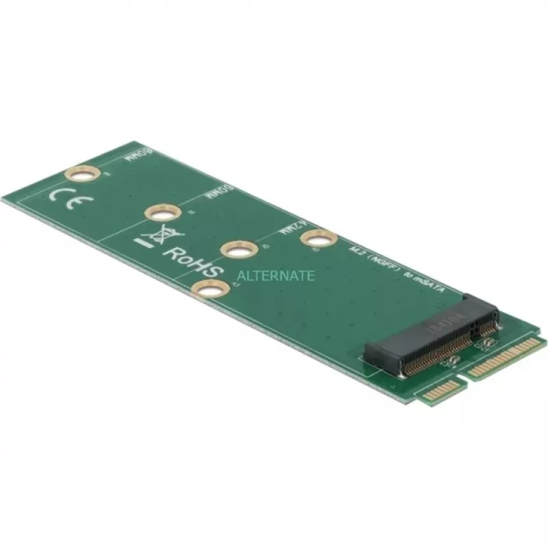 DeLOCK - Adaptador de interfaz - M.2 - M.2 Card - mSATA (64109)