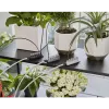 Gardena kit de riego para vacaciones con depósito de agua, 13366-20
