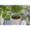 Gardena kit de riego para vacaciones con depósito de agua, 13366-20