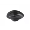 Natec Genesis Blackbird 2 Ratón RF Wireless Óptico 1600 DPI